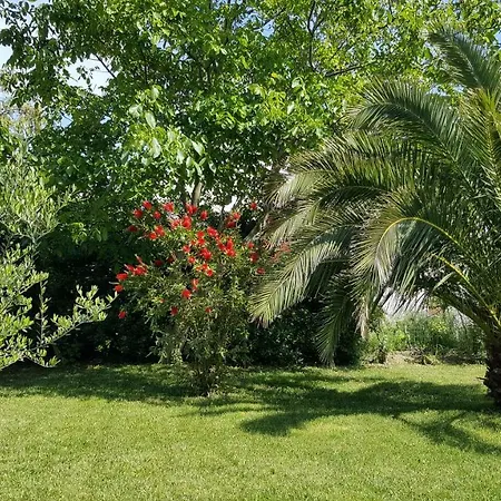 Haus Mirela Апартаменты Лижнян