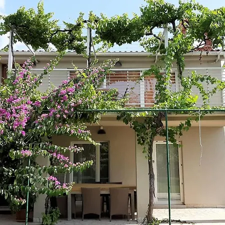 Haus Mirela Апартаменты Лижнян